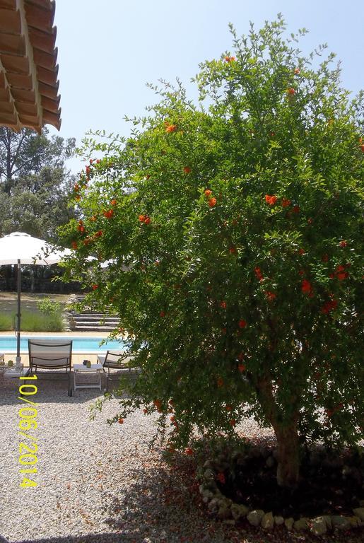 Maprovencale Les Arcs-sur-Argens Exterior foto